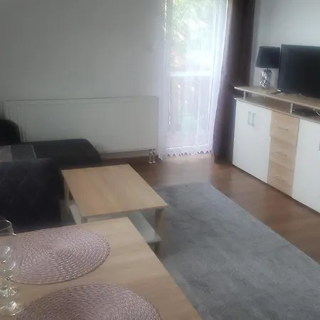 Apartment Zlata Rybka *