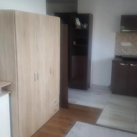 Zlata Rybka Apartment *