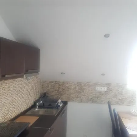 Zlata Rybka Apartment