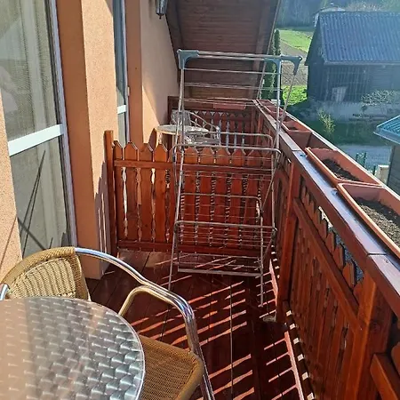 Zlata Rybka Apartment