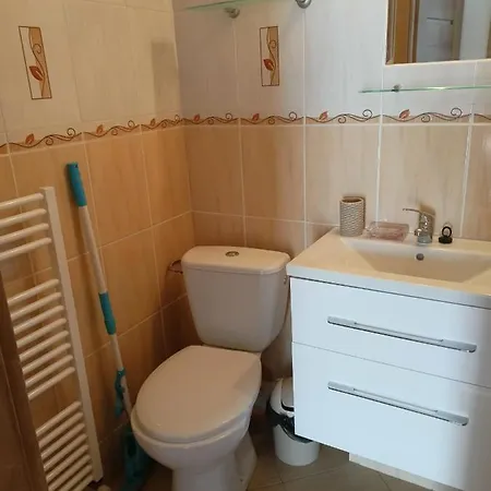 Zlata Rybka Apartment Podhájska