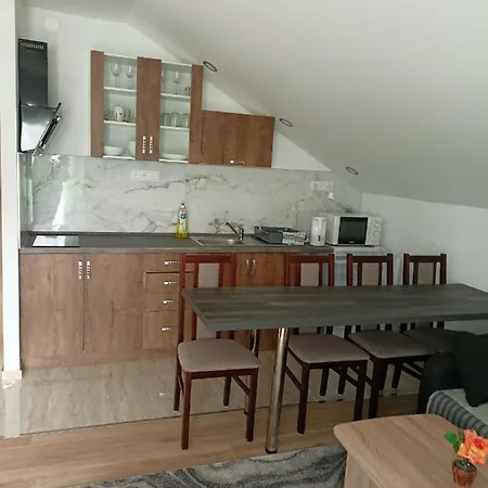 Apartment Zlata Rybka